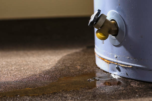 Best Water damage restoration near me  in Woodland Hills, UT
