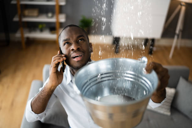 Best Commercial water damage restoration  in Woodland Hills, UT