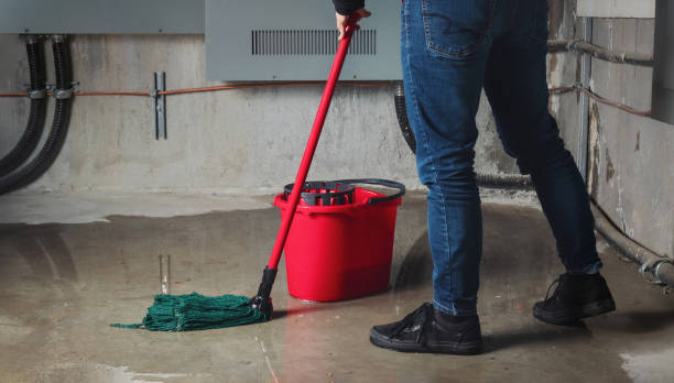 Best 24/7 water damage repair  in Woodland Hills, UT