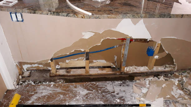 Best Professional water damage repair  in Woodland Hills, UT