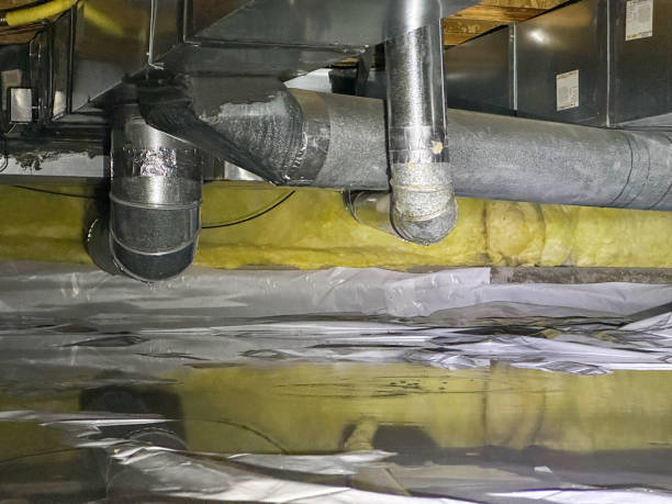 Best Carpet water damage restoration  in Woodland Hills, UT