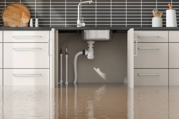 Reliable UT Water damage restoration Solutions