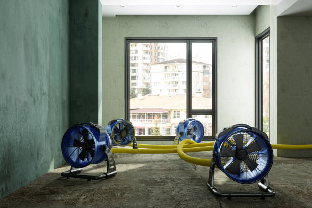 Best 24-hour water damage restoration  in Woodland Hills, UT